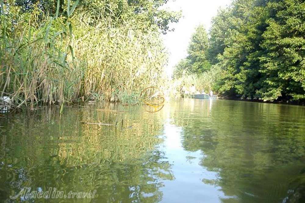 مرداب نشتارود تنکابن | علاءالدین تراول