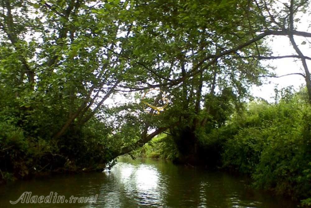 مرداب نشتارود تنکابن | علاءالدین تراول