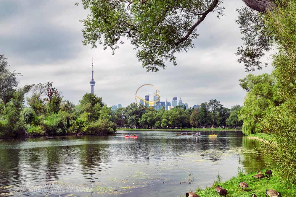 سواحل تورنتو | علاءالدین تراول