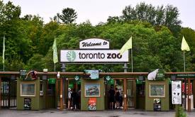 باغ وحش تورنتو - کانادا
