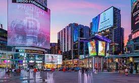 میدان یانگ دانداس تورنتو - کانادا