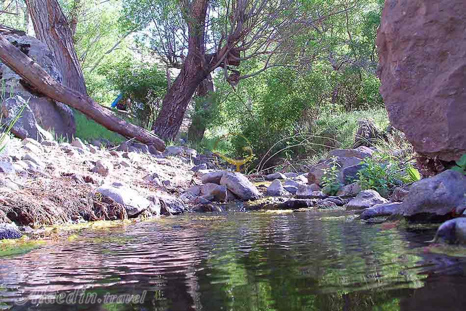 جزیره شاهی ارومیه | علاءالدین تراول