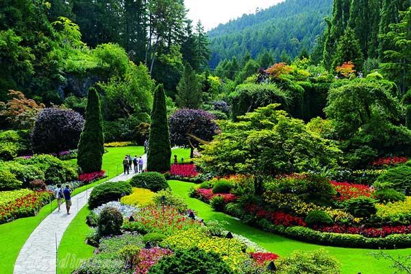 باغ های بوچارت ونکوور در کانادا | علاءالدین تراول