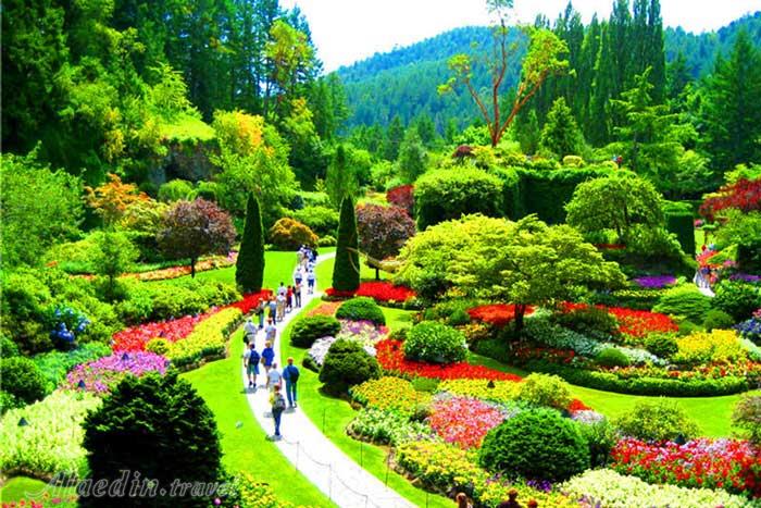 باغ های بوچارت ونکوور در کانادا | علاءالدین تراول