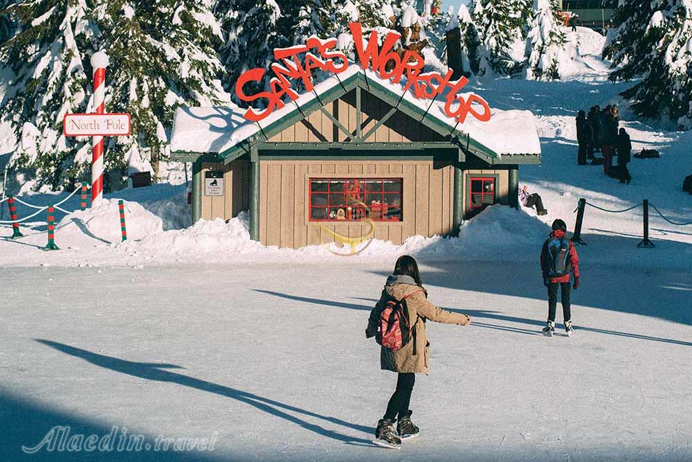 کوه گروس ونکوور | علاءالدین تراول