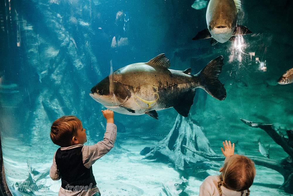 آکواریوم ونکوور | علاءالدین تراول