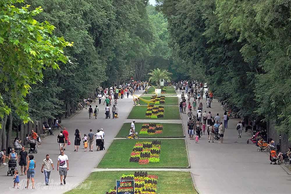 باغ دریایی وارنا - بلغارستان| علاءالدین تراول