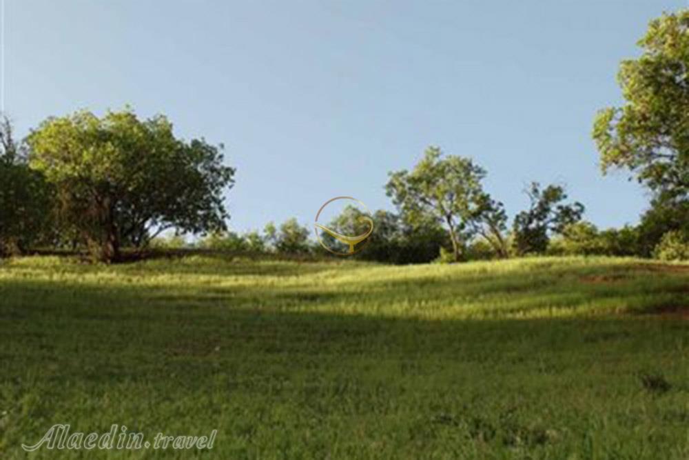 پارک کوهستان یاسوج | علاءالدین تراول