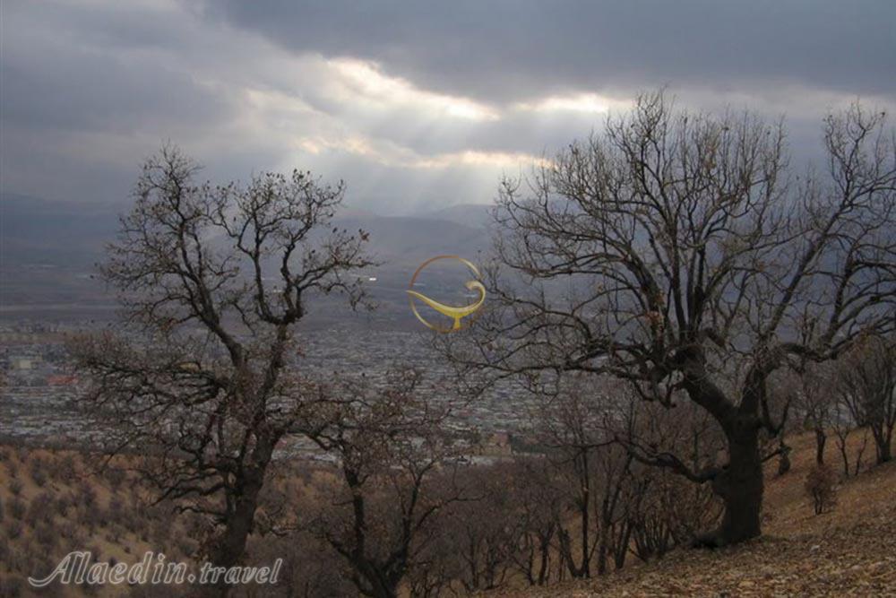 پارک کوهستان یاسوج | علاءالدین تراول