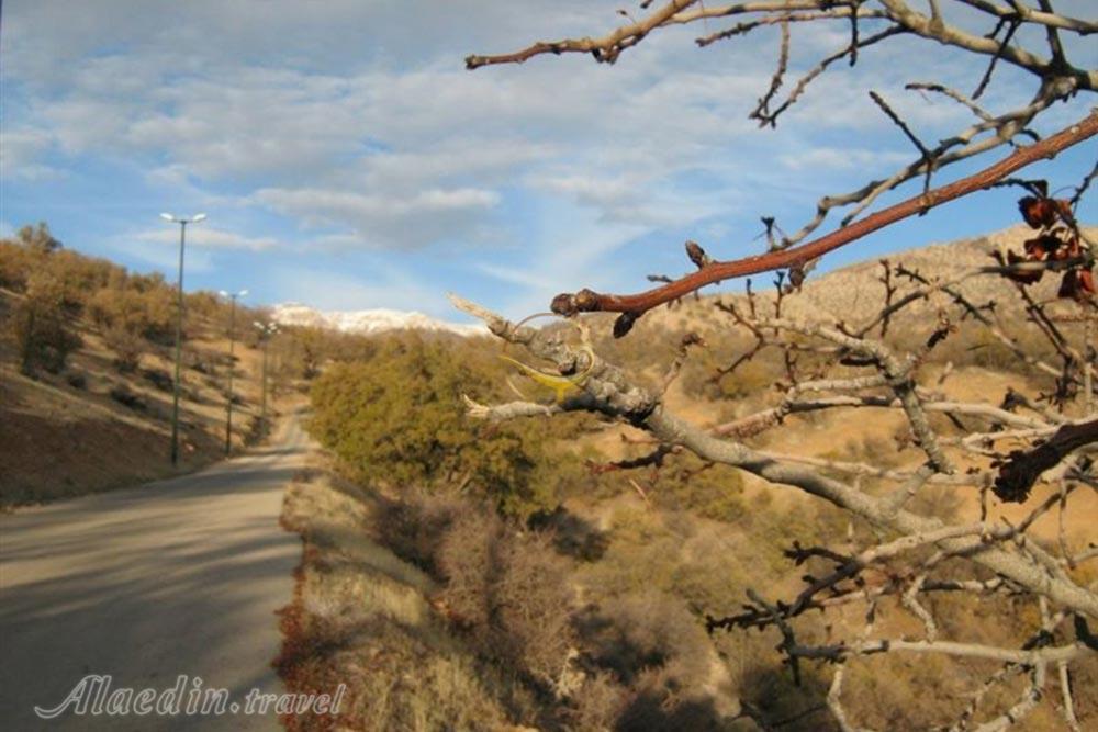 پارک کوهستان یاسوج | علاءالدین تراول