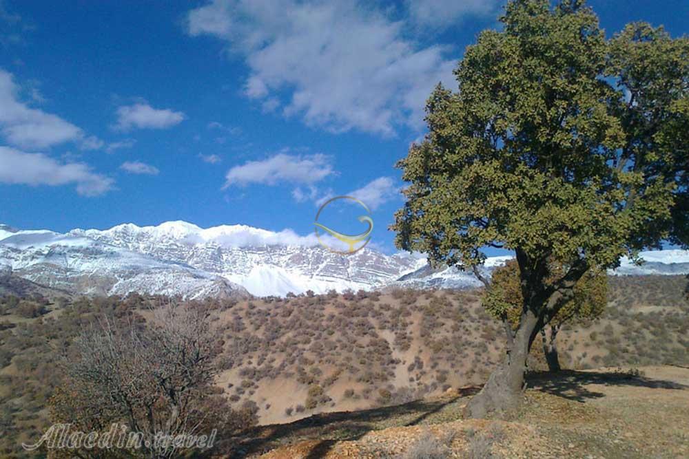 پارک کوهستان یاسوج | علاءالدین تراول