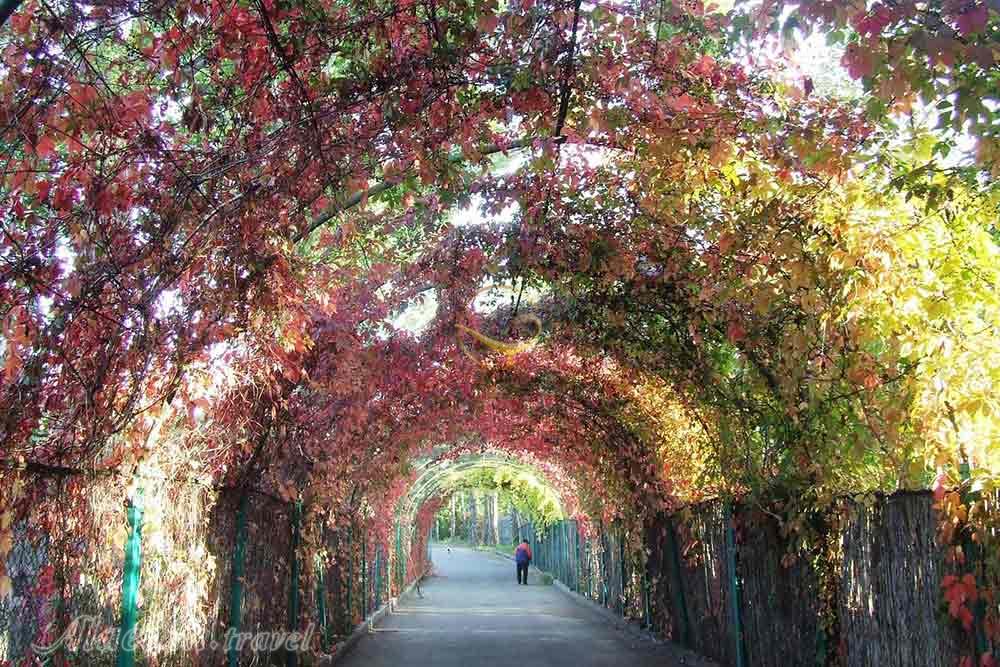 باغ گیاه شناسی ایروان در ارمنستان | علاءالدین تراول