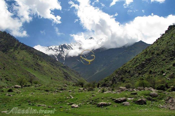 جنگل عباس آباد