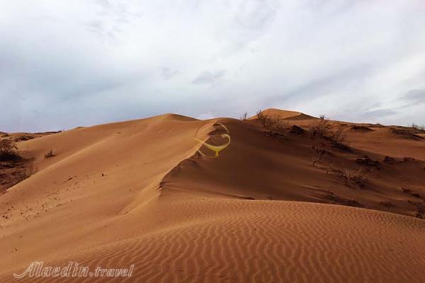 تور کویر ابوزیدآباد یک روزه