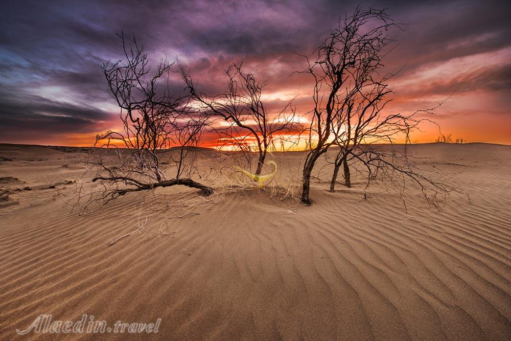 تور کویر بند ریگ؛ کاشان، ابیانه | علاءالدین تراول