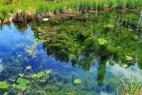 تور بانه سقز