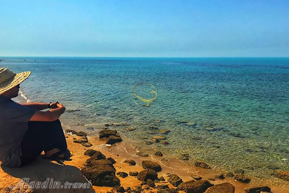 تور بوشهر | علاءالدین تراول