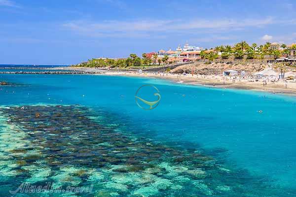 تور جزایر قناری