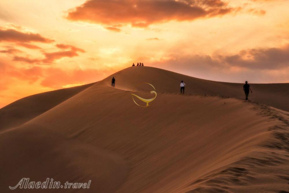 تور کویر کاراکال؛ در قلمرو سیاه گوش | علاءالدین تراول