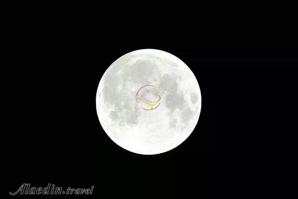 تور کویر کاراکال؛ در قلمرو سیاه گوش | علاءالدین تراول