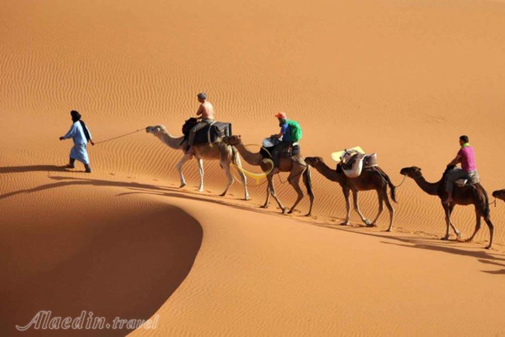 تور کویر کاراکال؛ در قلمرو سیاه گوش | علاءالدین تراول