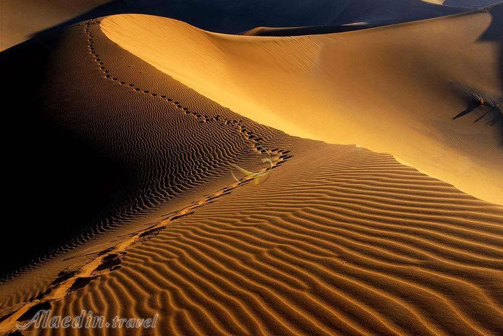 تور کویر کاراکال؛ در قلمرو سیاه گوش | علاءالدین تراول