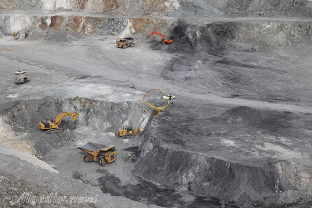 تور کویر کاراکال؛ در قلمرو سیاه گوش | علاءالدین تراول