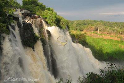 تور آفریقای مرکزی