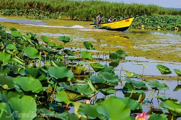 تله کابین لاهیجان | علاءالدین تراول