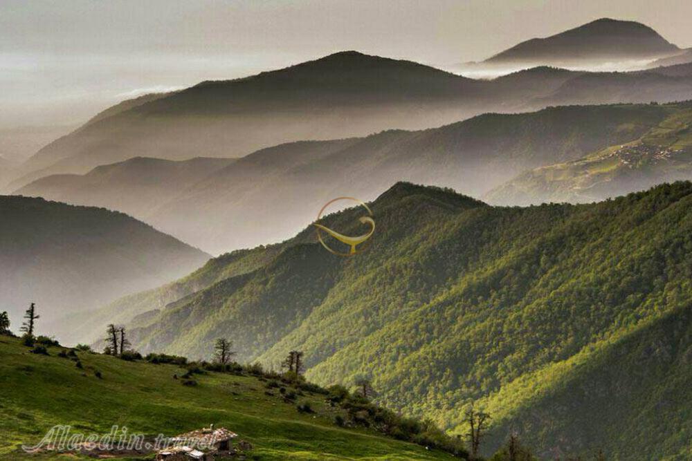 جنگل ابر شاهرود | علاءالدین تراول