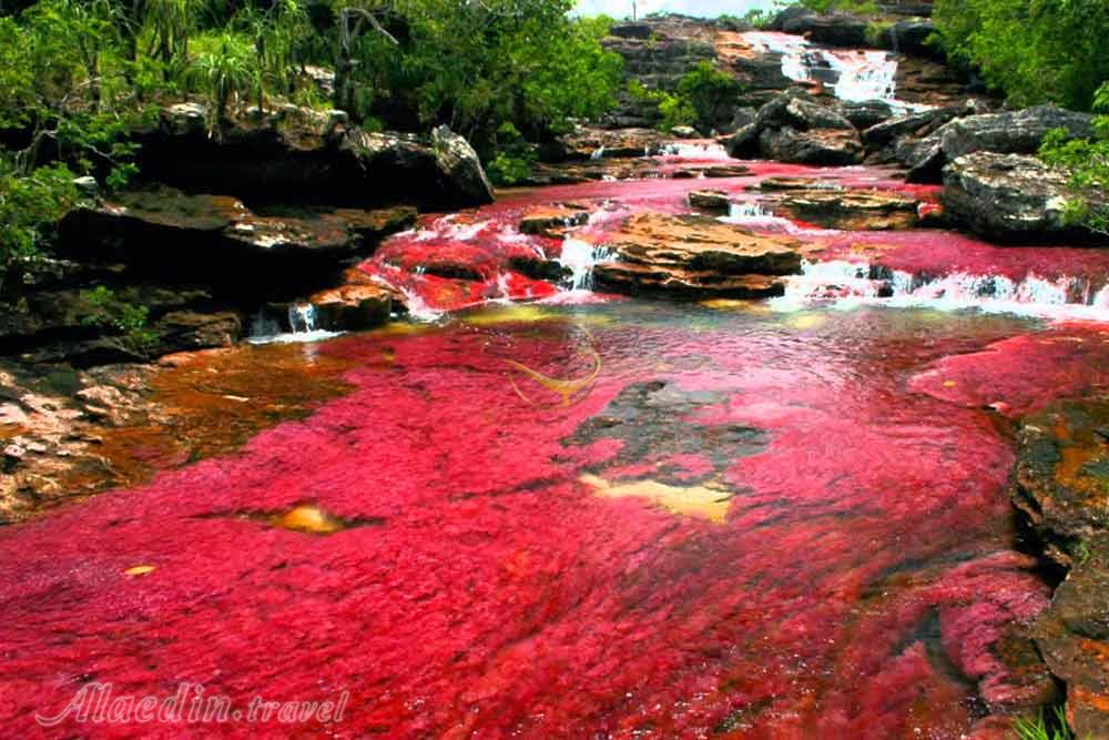 تور کلمبیا | علاءالدین تراول