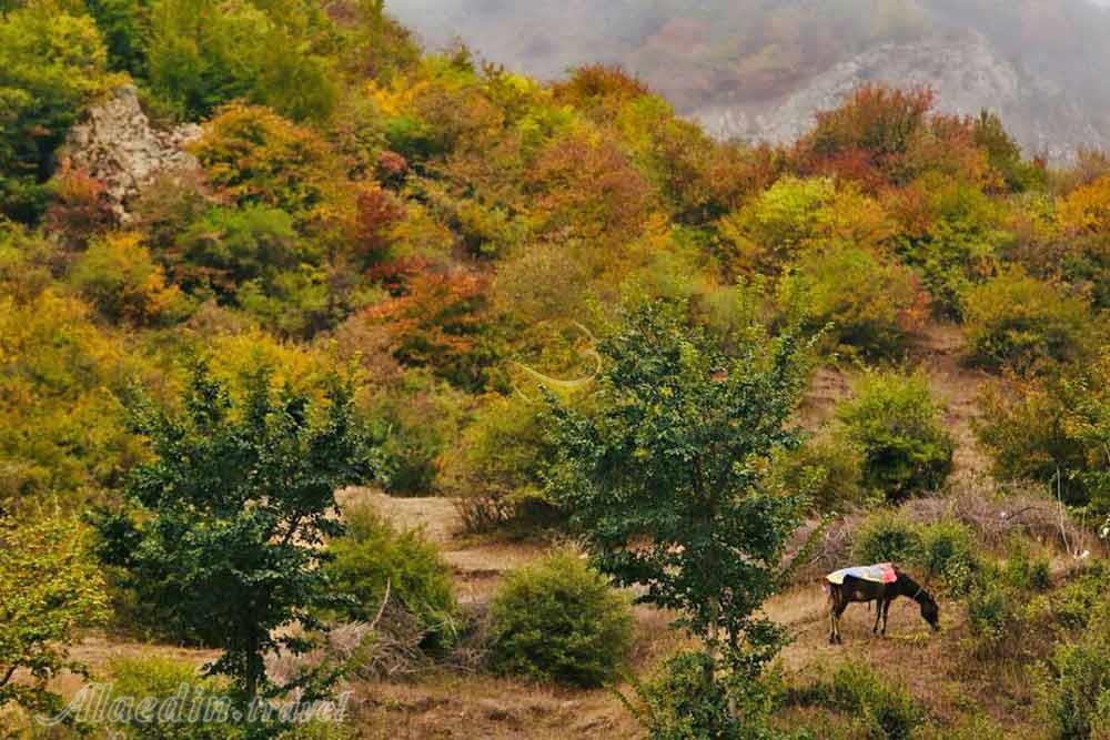 دیدار از آتشفشان رنگ های درختان پاییزی در تور هیجان انگیز دیلمان | علاءالدین تراول