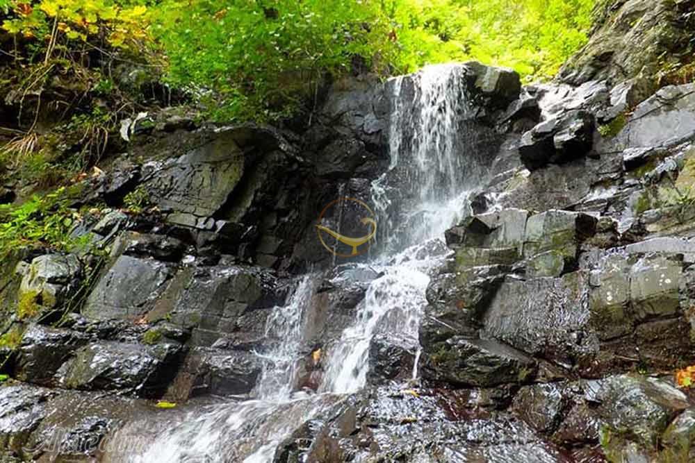 آبشار لونک جنگل های هزارساله ی هیرکانی در تور دیلمان | علاءالدین تراول