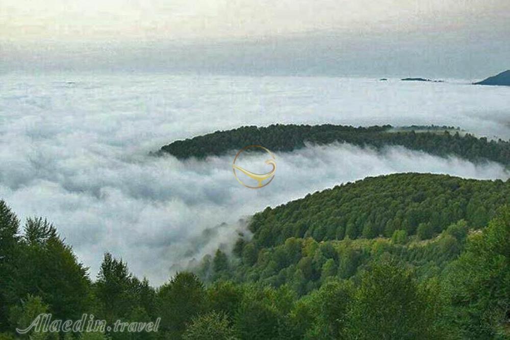 تور اکوسافاری قله درفک - ییلاق دیلمان | علاءالدین تراول