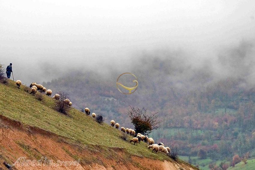 تور اکوسافاری قله درفک - ییلاق دیلمان | علاءالدین تراول