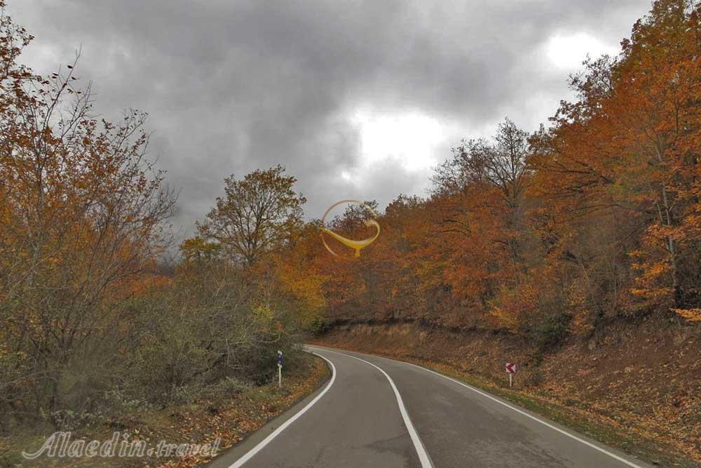 تور اکوسافاری جنگلی؛ صدای پای آب | علاءالدین