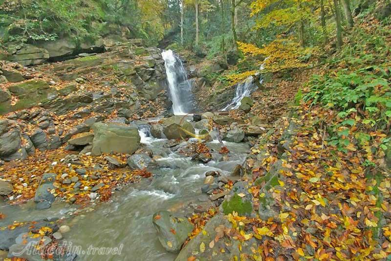 تور اکوسافاری جنگلی؛ صدای پای آب | علاءالدین