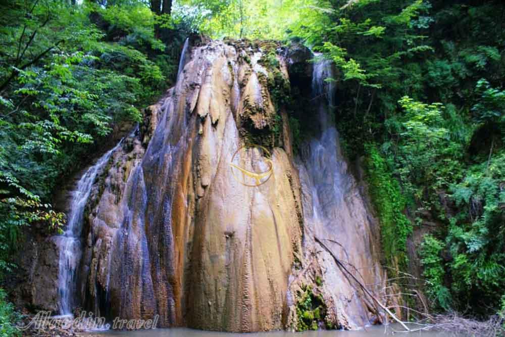 تور اکوسافاری جنگلی؛ صدای پای آب | علاءالدین