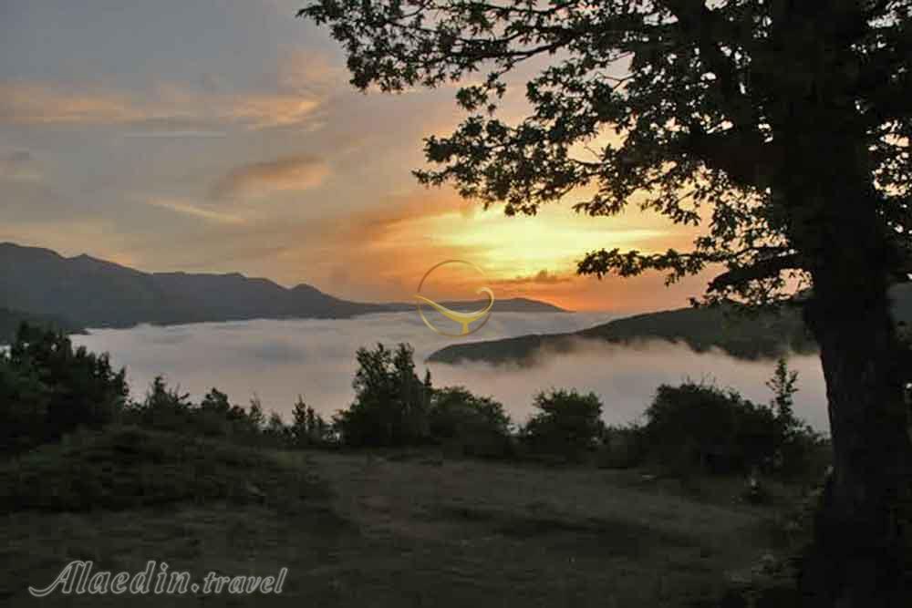 تور اکوسافاری جنگلی؛ صدای پای آب | علاءالدین