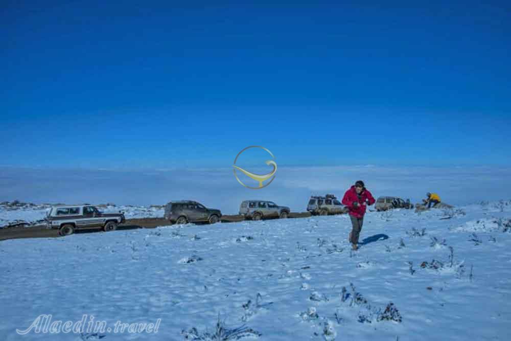 تور اکوسافاری جنگلی؛ صدای پای آب | علاءالدین