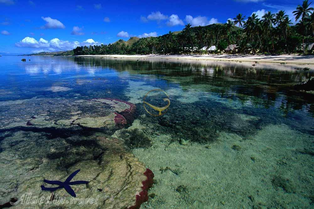 تور فیجی | علاءالدین تراول