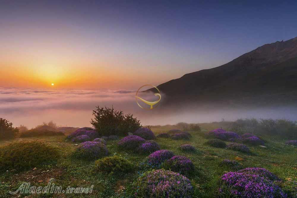 تور فیلبند | علاءالدین تراول