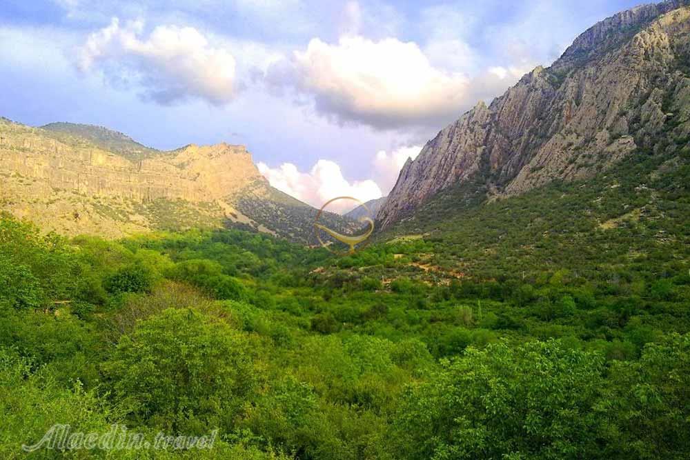 تور فیروز آباد | علاءالدین تراول