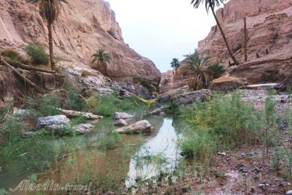 تور قلعه گنج | علاءالدین تراول