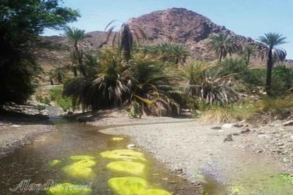 تور قلعه گنج | علاءالدین تراول