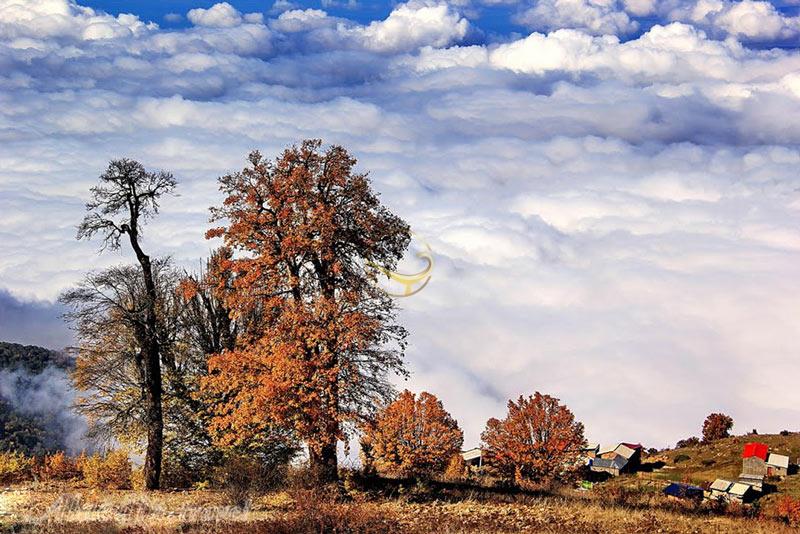تور جهان نما؛ از تخت میرزا تا برج رادکان | علاءالدین تراول