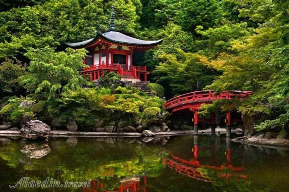 عکسی زیبا از ژاپن | علاءالدین تراول