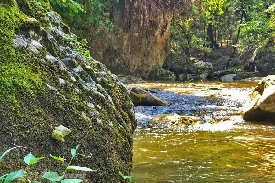 تور کسیلیان | علاءالدین تراول