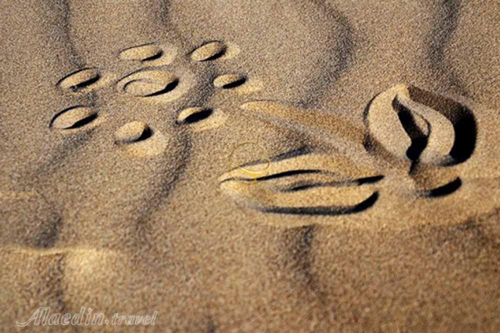 تور کویر خارا؛ کاشان، ورزنه