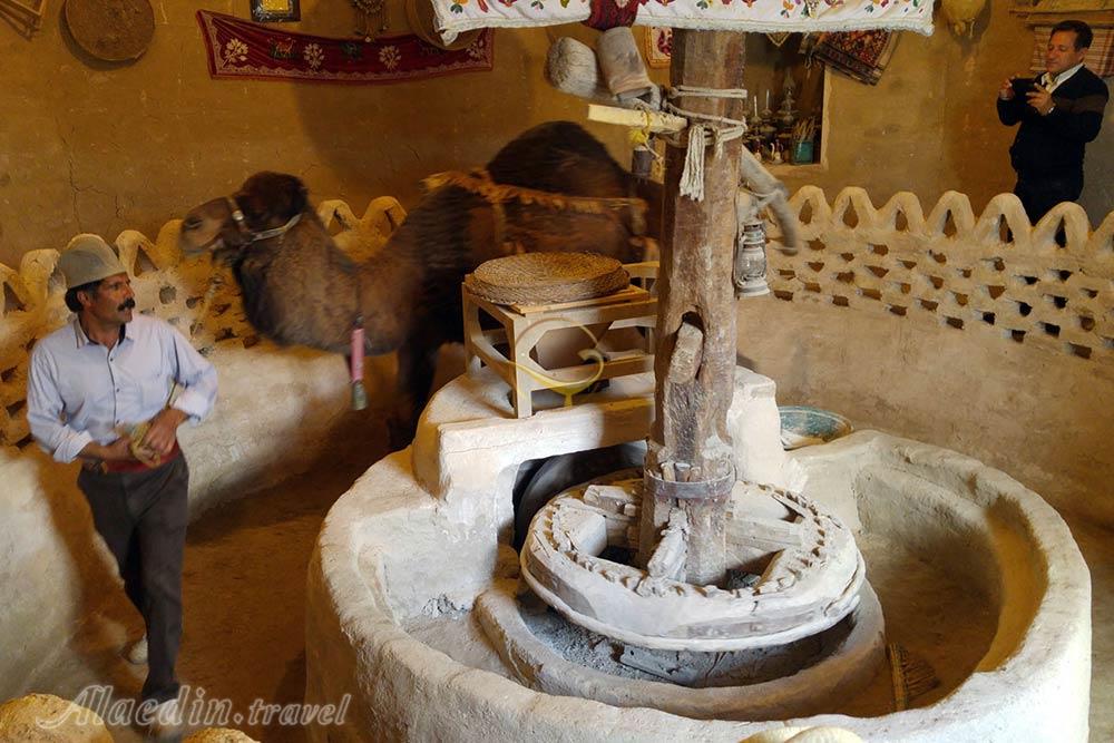 تور کویر خارا؛ کاشان، ورزنه